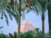pyramids_palmtrees_cairo